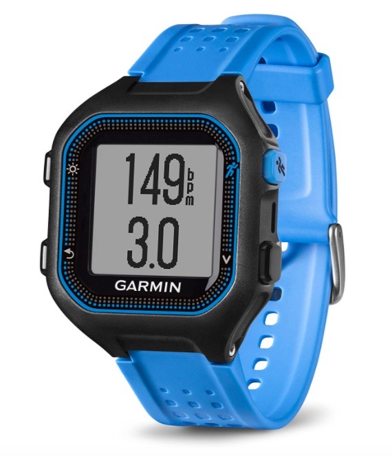 GARMIN Forerunner 25 GPS Sport Running Watch, Large Mens (black/blue ...