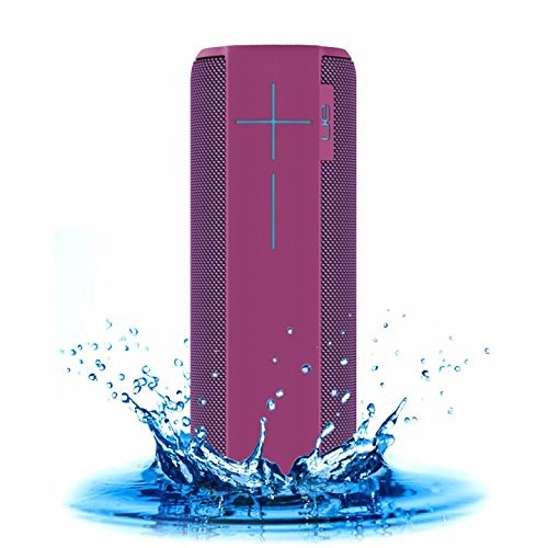 megaboom plum