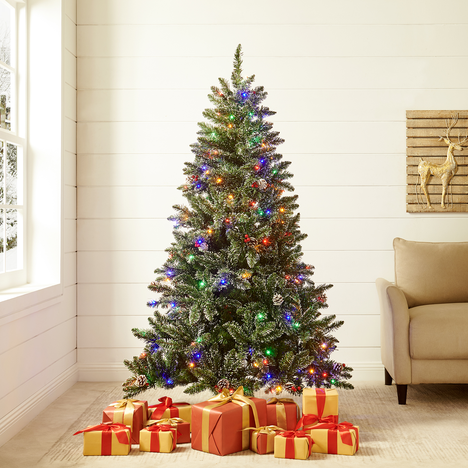 Christmas trees | daals